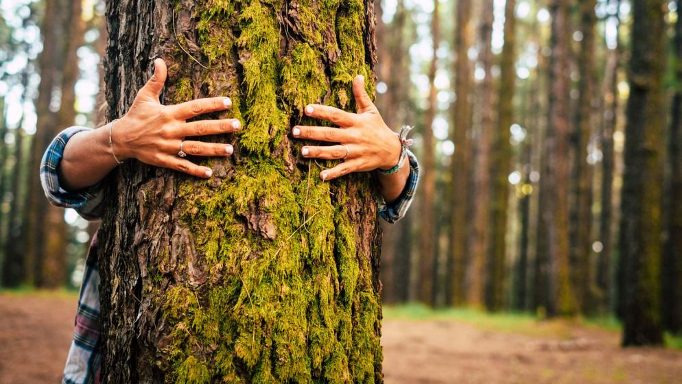 Mann umarmt Baum im Wald